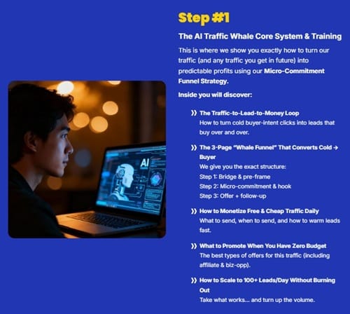 ai traffic whale review