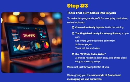 ai traffic whale review