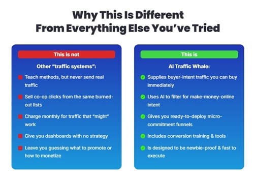 ai traffic whale review