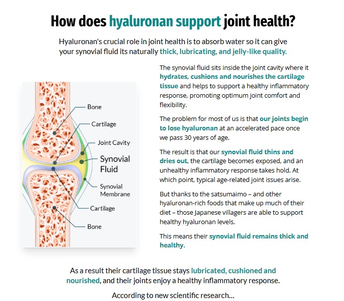 BioDynamix Joint Genesis Review