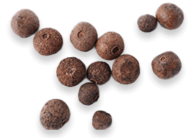 BioDynamix Joint Genesis Review