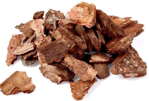 BioDynamix Joint Genesis Review