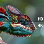 Amazon Fire TV 43 inch 4 Series Review