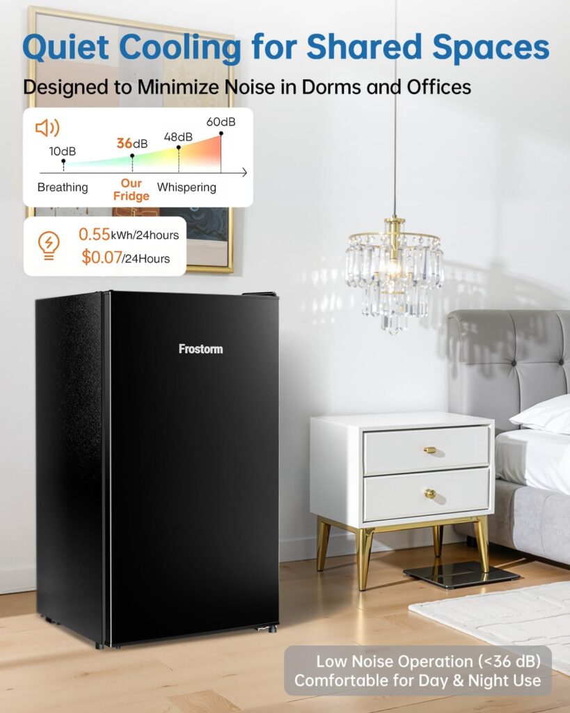 Frostorm Mini Fridge with Freezer review